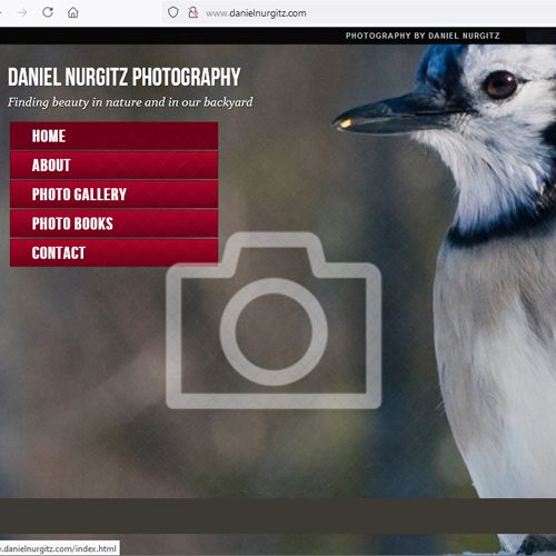 Photography Gallery